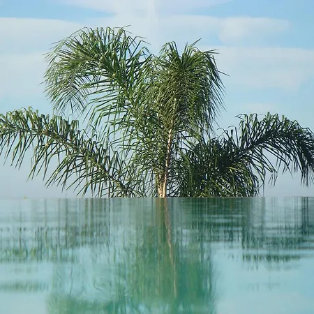 Värdshus Monte Do Casal Estoi